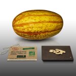 10 graines bio à semer - le grenier d abondance - courge spaghetti vegetal - certifié ab - cucurbita ... 10 graines bio à semer - le grenier d abondance - courge spaghetti vegetal - certifié ab - cucurbita ...