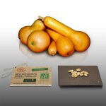 10 graines bio � semer - le grenier dabondance - courge coureuse longue de nice certifi� ab - curcurbita ...