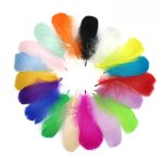 Lot de 100 plumes colorées pour diy - décoration fête mariage anniversaire - création attrape - rêves ... Lot de 100 plumes colorées pour diy - décoration fête mariage anniversaire - création attrape - rêves ...