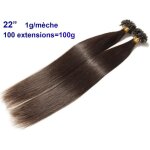 100 extensions cheveux pose à chaud kératine 22 châtain foncé 1g / mèche u tip 100 extensions cheveux pose à chaud kératine 22 châtain foncé 1g / mèche u tip