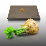 100 graines aromatiques � semer - le grenier dabondance - c�leri rave - apium graveolens