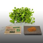 1000 graines bio � semer - le grenier dabondance - cresson al�nois commun - certifi� ab - lepidium sativum ...