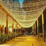 100m 1000 led ?blanc chaud? guirlande lumineuse carnaval mariage extrieur jardin intrieur clairage ...