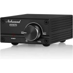 100w mono amplificateur de puissance hifi mini amplificateur audio numrique de classe d (black)