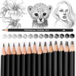 14pcs crayon dessin professionnels12b 10b 8b 7b 6b 5b 4b 3b 2b hb 2h 4h 6hecriture douce croquis crayon ... 14pcs crayon dessin professionnels12b 10b 8b 7b 6b 5b 4b 3b 2b hb 2h 4h 6hecriture douce croquis crayon ...