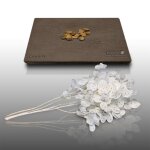 15 graines de fleurs � semer - le grenier dabondance - lunaire monnaie du pape - lunaria