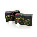 2 batteries plomb 6v 12ah bateau amorceur catamaran anatec