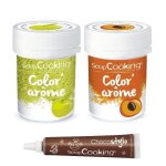 2 colorants alimentaires aux ar�mes de pomme & abricot + stylo chocolat