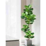 2 grand arbre ficus artificiel 70cm and105cm fausses plantes en caoutchouc branche de feuilles de violon ...