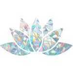 2 pcs diamant fen�tre saccroche alerte oiseaux verre stickers autocollants anti collision arc - en - ...
