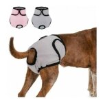 2 pi�ces 37 - 55cm couche r�utilisable pour chien culotte physiologique culotte hygi�nique lavable short ...