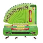 20 pi�ces pi�ges � cafards produit anti cafard vert attrape - cafards efficace contre les cafards - pi�ge ...