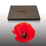 200 graines de fleurs � semer - le grenier dabondance - coquelicot - papaver rhoeas