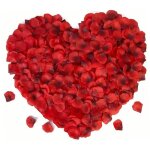 2000 pices ptale de rose forme naturelle couleur 3 dimensions motif artificiel rouge ptale de rose ...