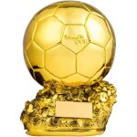 21cm troph�e de football dor� personnalisable en r�sine pour fan de football - cadeau danniversaire