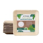 25 assiettes carr�es 20x20 cm en feuille de palmier ? biod�gradables compostables z�ro plastique ecopicnic ...