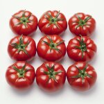 25 graines de tomate merveille des march�s - semisauvage permaculture