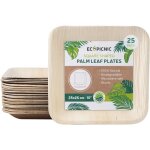 25 pcs assiettes carres 25x25 cm en feuille de palmier biodgradables compostables rsistantes ? ecopicnic ...
