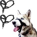 2pcs licol pour chien avec tissu rembourr muselire pour chiens licol pour chien dressage collier tte ...