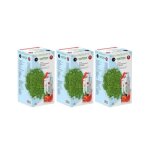 Achetez 3 pay 2 matcha premium japanese strawberry flavor detox burner form matcha tea