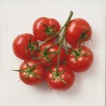 30 graines de tomate saint - pierre - semisauvage permaculture