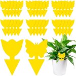 30 pièges anti moucherons interieur attrape mouche interieur jaunes anti pucerons plantes exterieur attrape ... 30 pièges anti moucherons interieur attrape mouche interieur jaunes anti pucerons plantes exterieur attrape ...