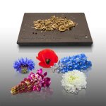 300 graines de fleurs � semer - le grenier dabondance - prairie de fleurs - en m�lange