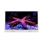 32dmd22hw - tele led 82cm sur batterie blanc