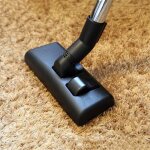 Le remplacement de tte de brosse daspirateur - lichifit - pour des aspirateurs vax / electrolux / hoover ...