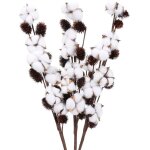 3pcs natural cotton flowers bouquet 6 heads dried cotton branch for balcony wedding table composition ...