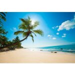 3x2m toile de fond de plage tropicale bord de mer palmier bleu oc�an soleil photographie fond shoots ...
