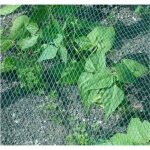 4m * 10m filet de volire maille anti - oiseaux protection pour plant lgume fruit tang jardin