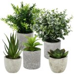 5 pieces plantes artificielle mini plantes artificielles interieur serpentine agave succulentes griffe ...
