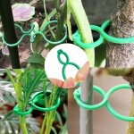 50 clips de support de plantes r�utilisables tuteurs pour tomates et orchid�es maintien de plantes grimpantes ...