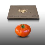 50 graines � semer - le grenier dabondance - tomate merveille des march�s - beaux fruits r�sistants