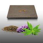50 graines � semer - le grenier dabondance - verveine officinal - verbena officinalis