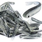 50 leurres souples en plastique - app�ts de p�che r�alistes en forme de vairon � queue fourchue pour ...