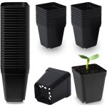 50 pcs de pots carr�s en plastique pour succulentes semis boutures rempotage 55 cm
