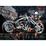 5d diamond painting5d diamond painting diy kits moto de mort - vivant squelette broderie diamant kits ...