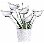 5lot arrosage automatique en verre abreuvoir de plantes globes en forme doiseau transparent