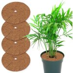 Lot de 5 disques de paillage en fibre de coco 20 cm - protection pour plantes en pot biod�gradable
