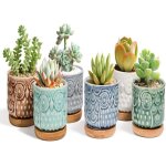 6. 5cm pot de succulent en céramique avec plateau en bambou hibou lot de 6 cactus plante planteur cache ... 6. 5cm pot de succulent en céramique avec plateau en bambou hibou lot de 6 cactus plante planteur cache ...