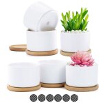 Lot de 6 pots succulentes en c�ramique blancs 58�76�8 cm avec plateaux bambou et drainage
