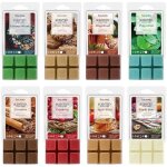 8 pcs fondants de cire parfum�e dhiver pour lampes parfum�es 100% cire de soja senteurs d�pices de pain ...