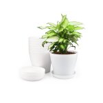 8 pièces 14 cm pots plastique plantes cache pot interieur exterieur pot de fleur avec plateaux convient ... 8 pièces 14 cm pots plastique plantes cache pot interieur exterieur pot de fleur avec plateaux convient ...