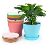 Lot de 8 pots de fleurs en plastique 14 cm avec soucoupes ? perc�s r�sistants au gel