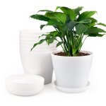 8 pièces 17 cm pots plastique plantes cache pot interieur exterieur pot de fleur avec plateaux convient ... 8 pièces 17 cm pots plastique plantes cache pot interieur exterieur pot de fleur avec plateaux convient ...