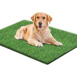 80 x 100 cm - tapis dherbe artificielle pour chien - pour toilettes réutilisables - convient pour lintérieur ... 80 x 100 cm - tapis dherbe artificielle pour chien - pour toilettes réutilisables - convient pour lintérieur ...