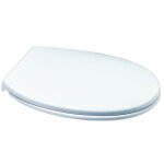Abattant pour cuvette wc - rock - blanc
