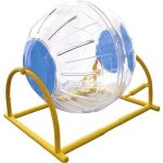 Activit� ballon dexercice respirant boule de hamster animaux jouet interactif balle petits animaux cage ...